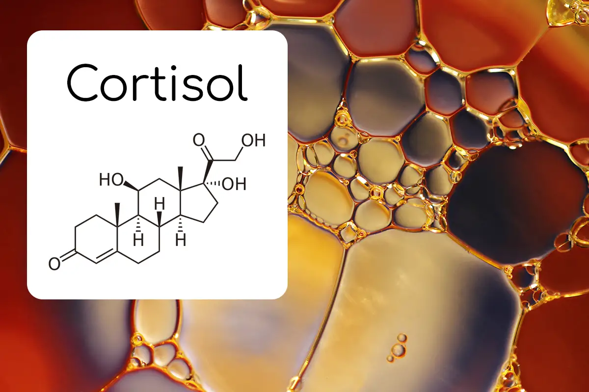 kortisol